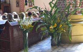 DSC_0598