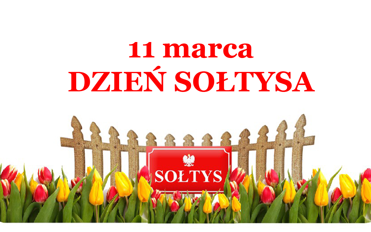DZSOLTYSA