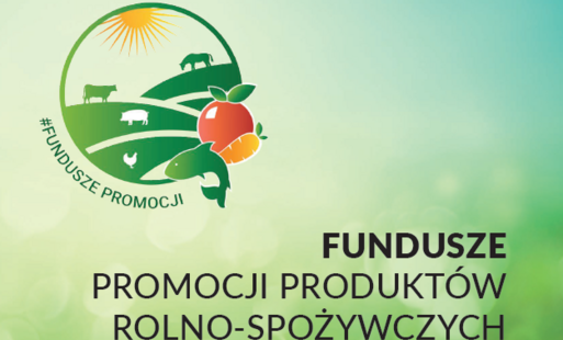 Zdjęcie artykułu z dnia 03-03-2026